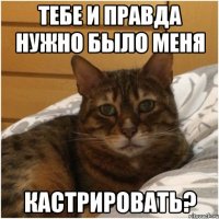 тебе и правда нужно было меня кастрировать?