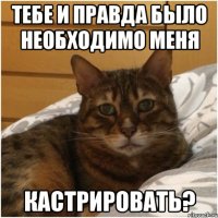 тебе и правда было необходимо меня кастрировать?