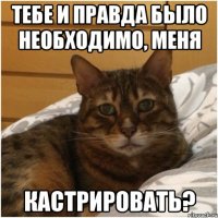 тебе и правда было необходимо, меня кастрировать?
