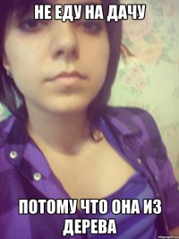 не еду на дачу потому что она из дерева