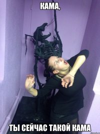 Кама, Ты сейчас такой Кама