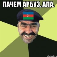 ПАЧЕМ АРБУЗ, АЛА. 