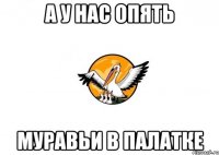 а у нас опять муравьи в палатке
