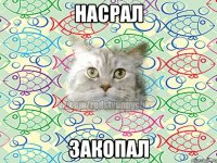 насрал закопал