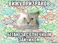 вижу призраков бегаю за солнечным зайчиком