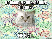 поймал мышь, принёс хозяину не ест...
