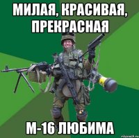 Милая, красивая, прекрасная М-16 любима