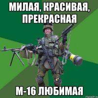 Милая, красивая, прекрасная М-16 любимая