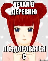Уехал в деревню поздороватся с