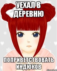 Уехал в деревню поприветствовать индюков
