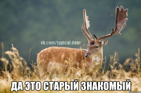  Да это старый знакомый