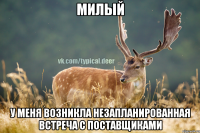 Милый У меня возникла незапланированная встреча с поставщиками