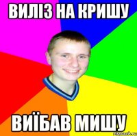Виліз на кришу виїбав мишу