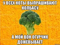 у всех коты выпрашивают колбасу а мой вон огурчик дожёвывает