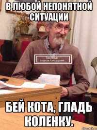 В любой непонятной ситуации бей кота, гладь коленку.