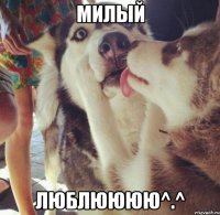 Милый Люблюююю^.^
