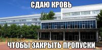 Сдаю кровь чтобы закрыть пропуски