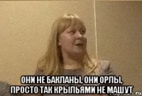  Они не бакланы, они орлы, просто так крыльями не машут