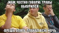 -Мам, честно говорю, травы обкурился -Врешь опять плакал всю ночь