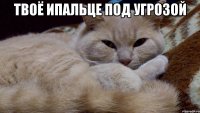 ТВОЁ ИПАЛЬЦЕ ПОД УГРОЗОЙ 