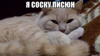Я СОСКУ ПИСЮН 