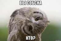 вы собсна кто?