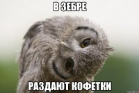 В зебре Раздают кофетки