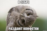 В зебре Раздают конфетки