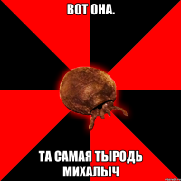 Вот она. та самая тыродь михалыч