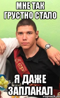 мне так грустно стало я даже заплакал