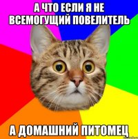 А что если я не всемогущий повелитель А домашний питомец