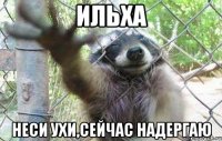Ильха Неси ухи,сейчас надергаю