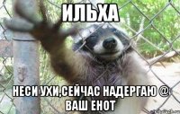 Ильха Неси ухи,сейчас надергаю @ ваш енот