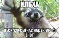 Ильха Неси ухи,сейчас надергаю @ енот