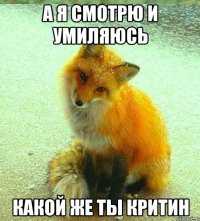 А я смотрю и умиляюсь Какой же ты критин