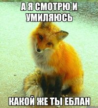 А я смотрю и умиляюсь Какой же ты еблан