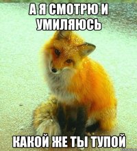А я смотрю и умиляюсь Какой же ты тупой