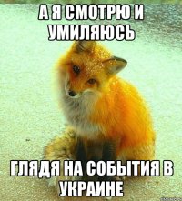 А я смотрю и умиляюсь глядя на события в украине