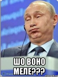 Шо воно меле???