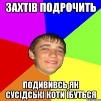 Захтів подрочить подививсь як сусідські коти їбуться