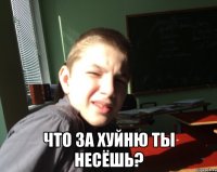  что за хуйню ты несёшь?