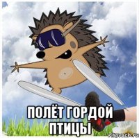  полёт гордой птицы