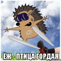  ёж - птица гордая