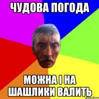 чудова погода можна і на шашлики валить