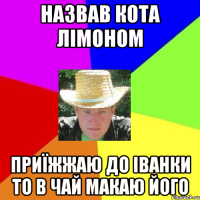 Назвав кота лімоном приїжжаю до іванки то в чай макаю його