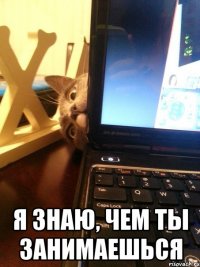  я знаю, чем ты занимаешься
