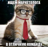 Ищем маркетолога В отличную команду