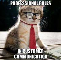 Professional rules in customer communication