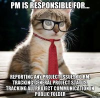 PM is responsible for... reporting any project issues to RM, tracking general project status, tracking all project communication in Public Folder