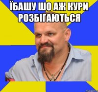 Їбашу шо аж кури розбігаються 